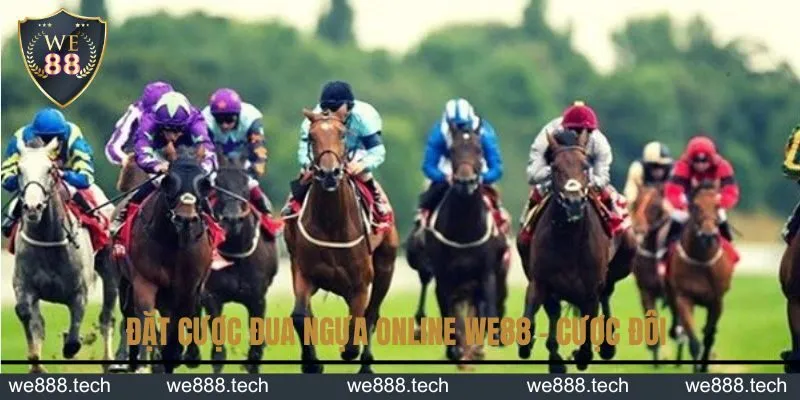 Đặt cược đua ngựa online KUBET - cược đôi