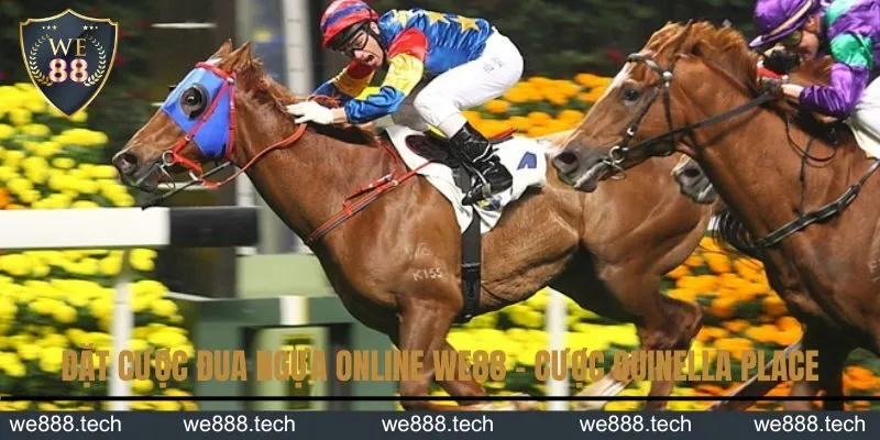 Đặt cược đua ngựa online KUBET - cược Quinella Place