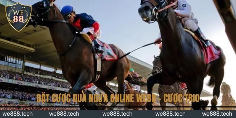 Đặt cược đua ngựa online KUBET - cược Trio